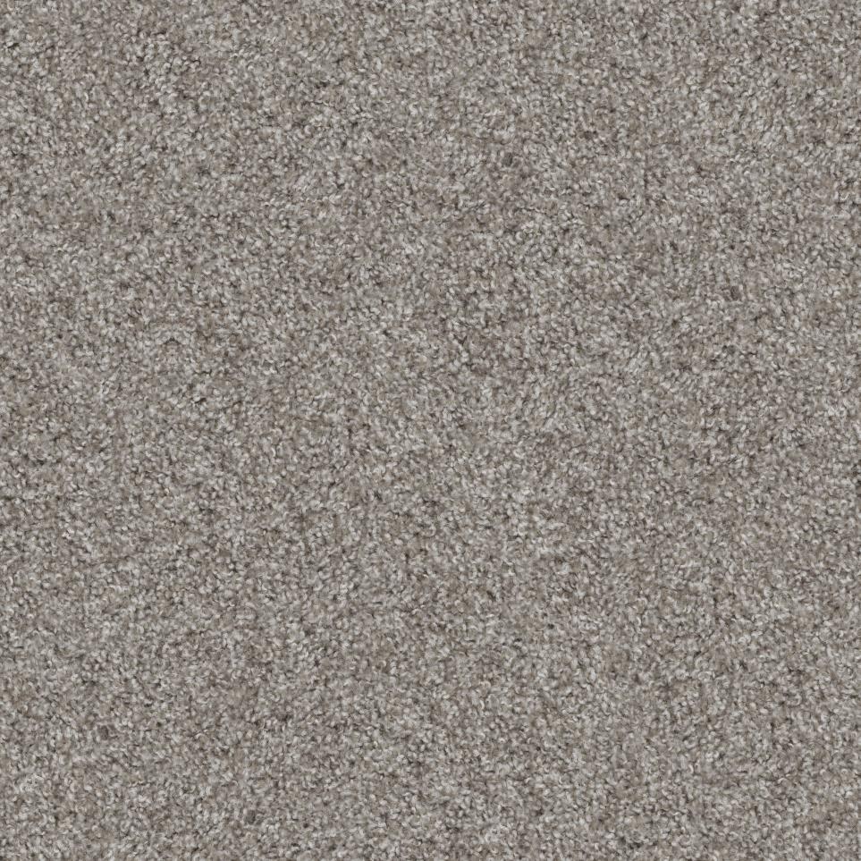 Texture Privilege Gray Carpet