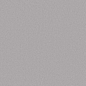 Textured Saxony Executive Gray Carpet