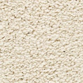 Textured Saxony Gypsy Moth Beige/Tan Carpet