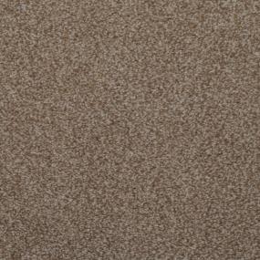 Casual Texture Briarwood Brown Carpet
