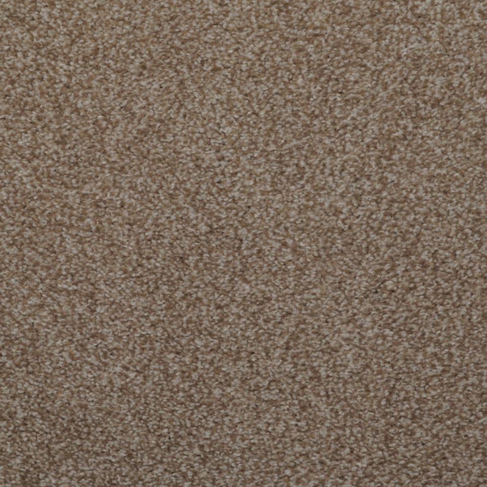 Frieze Briarwood Brown Carpet