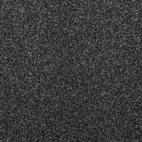Casual Texture Charcoal Black Carpet