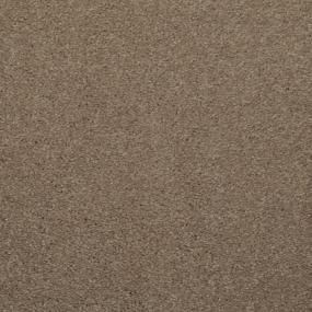 Casual Texture Khaki Tone Brown Carpet