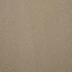 Casual Texture Loft Beige/Tan Carpet