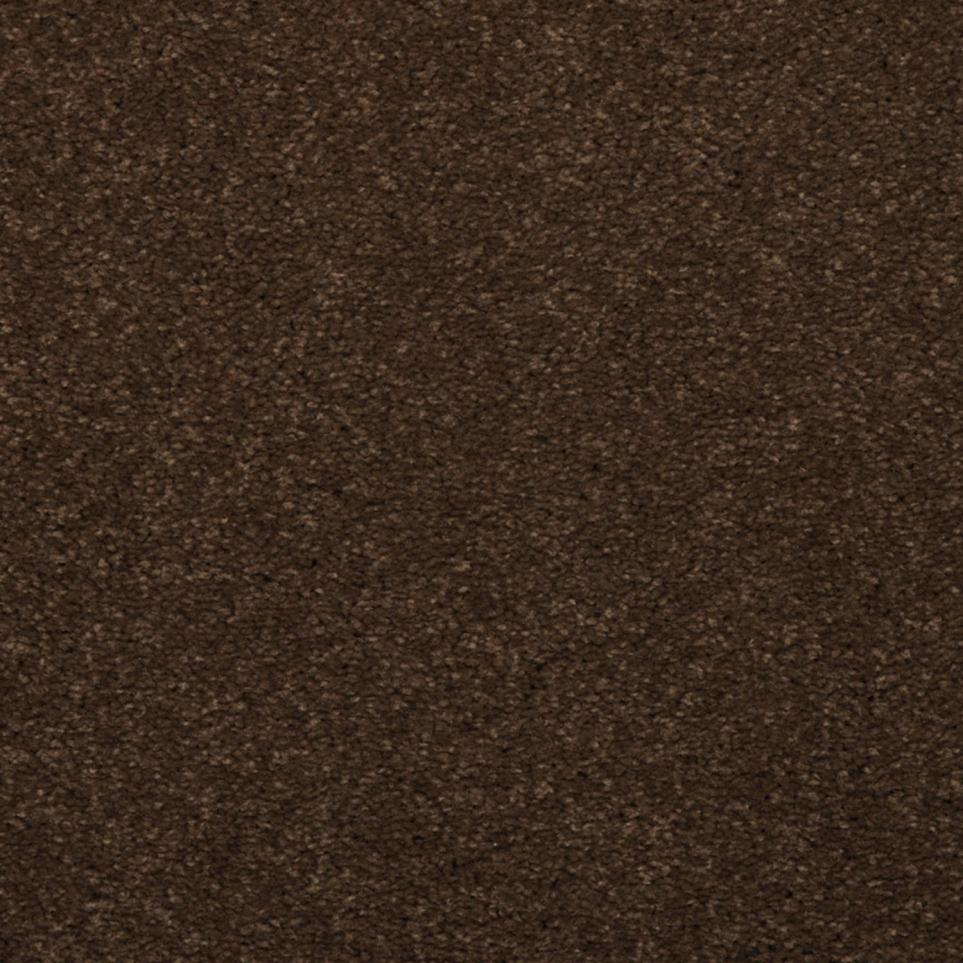 Frieze Marsh Brown Brown Carpet
