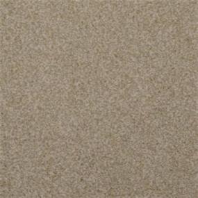 Frieze New Taupe Beige/Tan Carpet