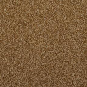 Casual Texture Princeton Gold Beige/Tan Carpet