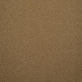 Casual Texture Rich Cream Beige/Tan Carpet