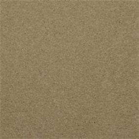 Casual Texture Roasted Almond Beige/Tan Carpet