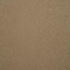 Casual Texture Roasted Almond Beige/Tan Carpet