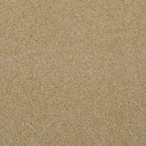 Casual Texture Sand Dune Beige/Tan Carpet