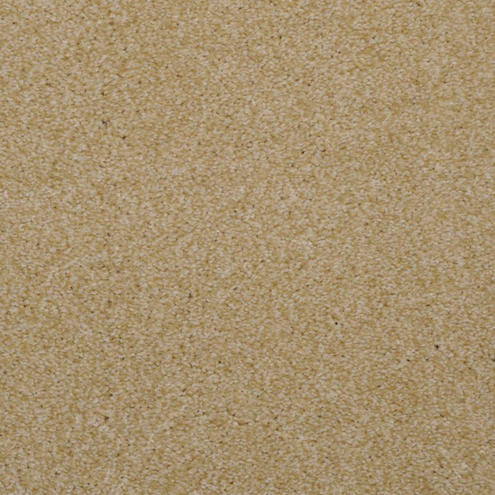 Frieze Sand Dune Beige/Tan Carpet