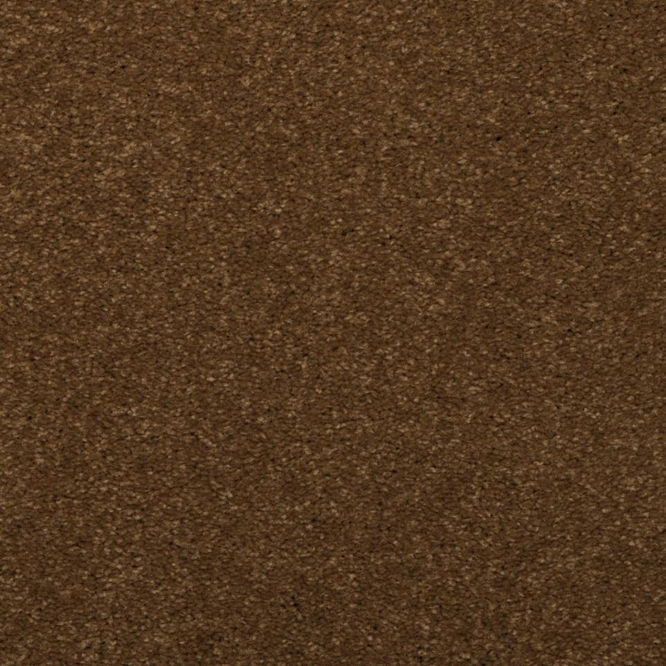 Frieze Spice Trader Brown Carpet