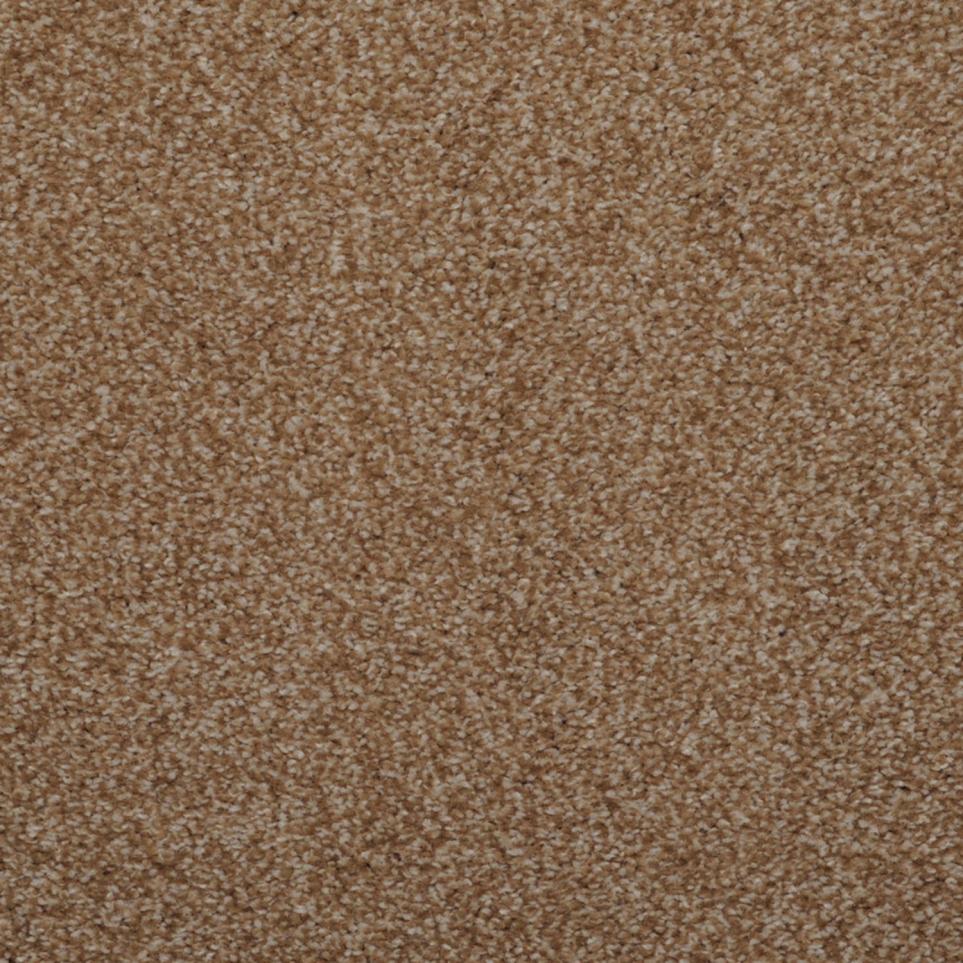 Frieze Tannery Brown Carpet