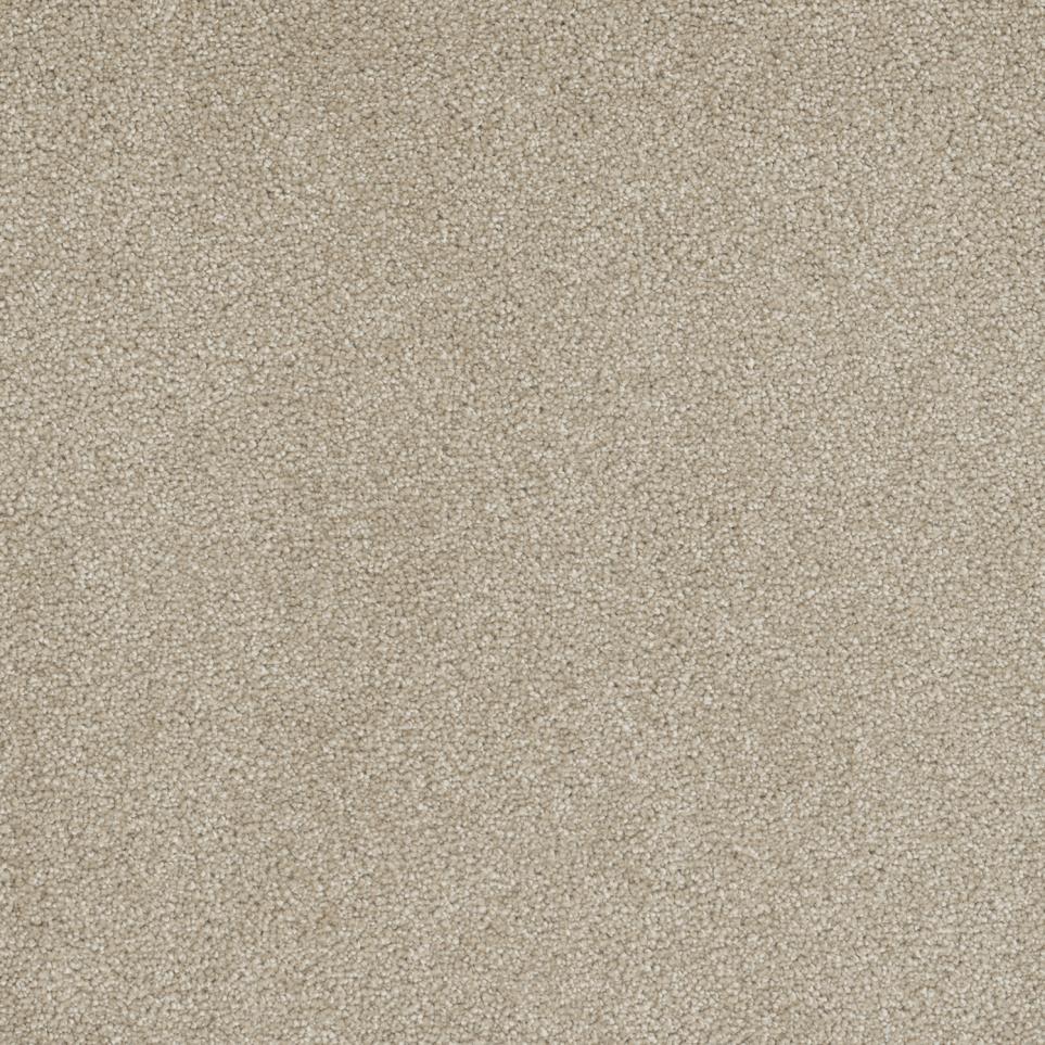 Texture Khaki Beige/Tan Carpet
