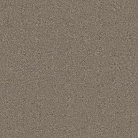 Textured Saxony Safari Beige/Tan Carpet