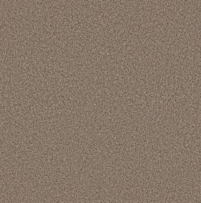 Textured Saxony Safari Beige/Tan Carpet
