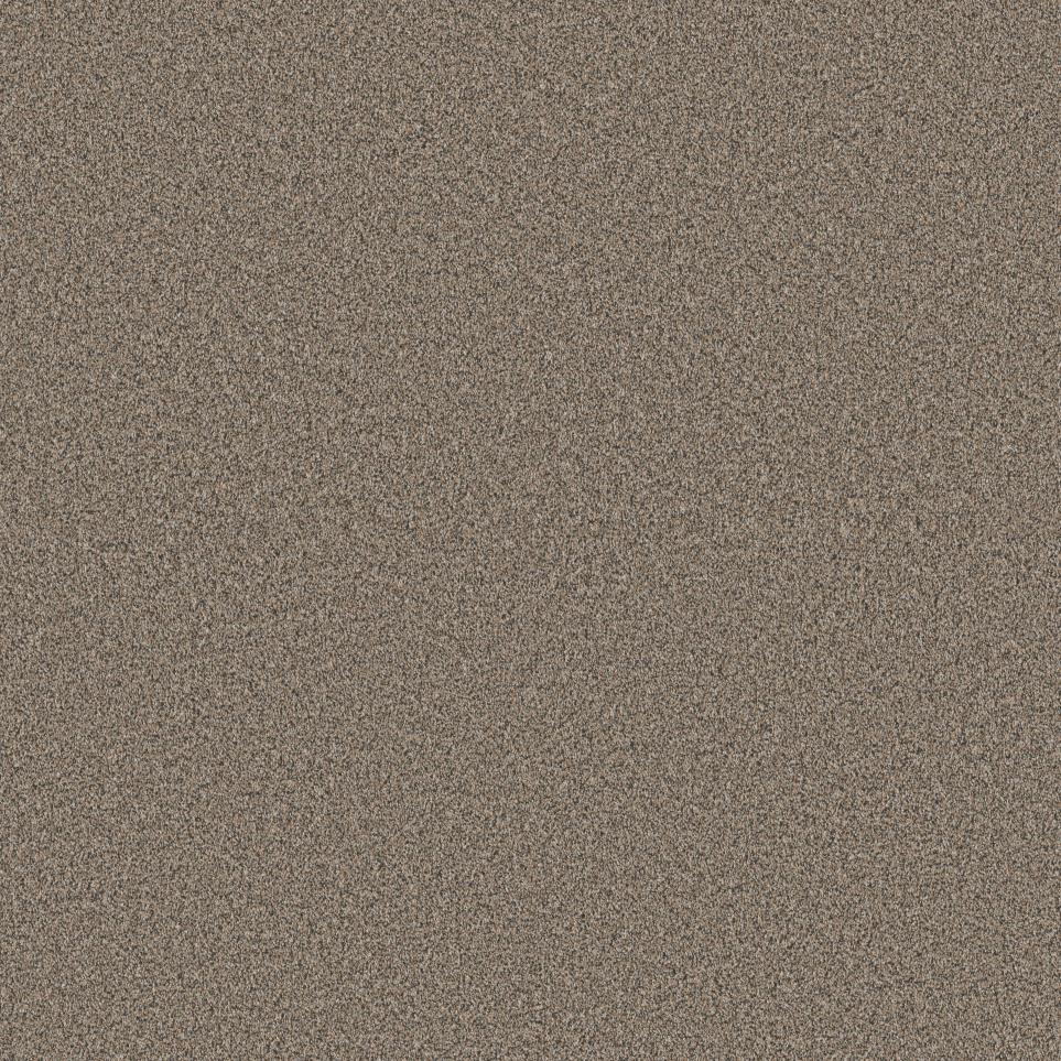 Texture Safari Beige/Tan Carpet