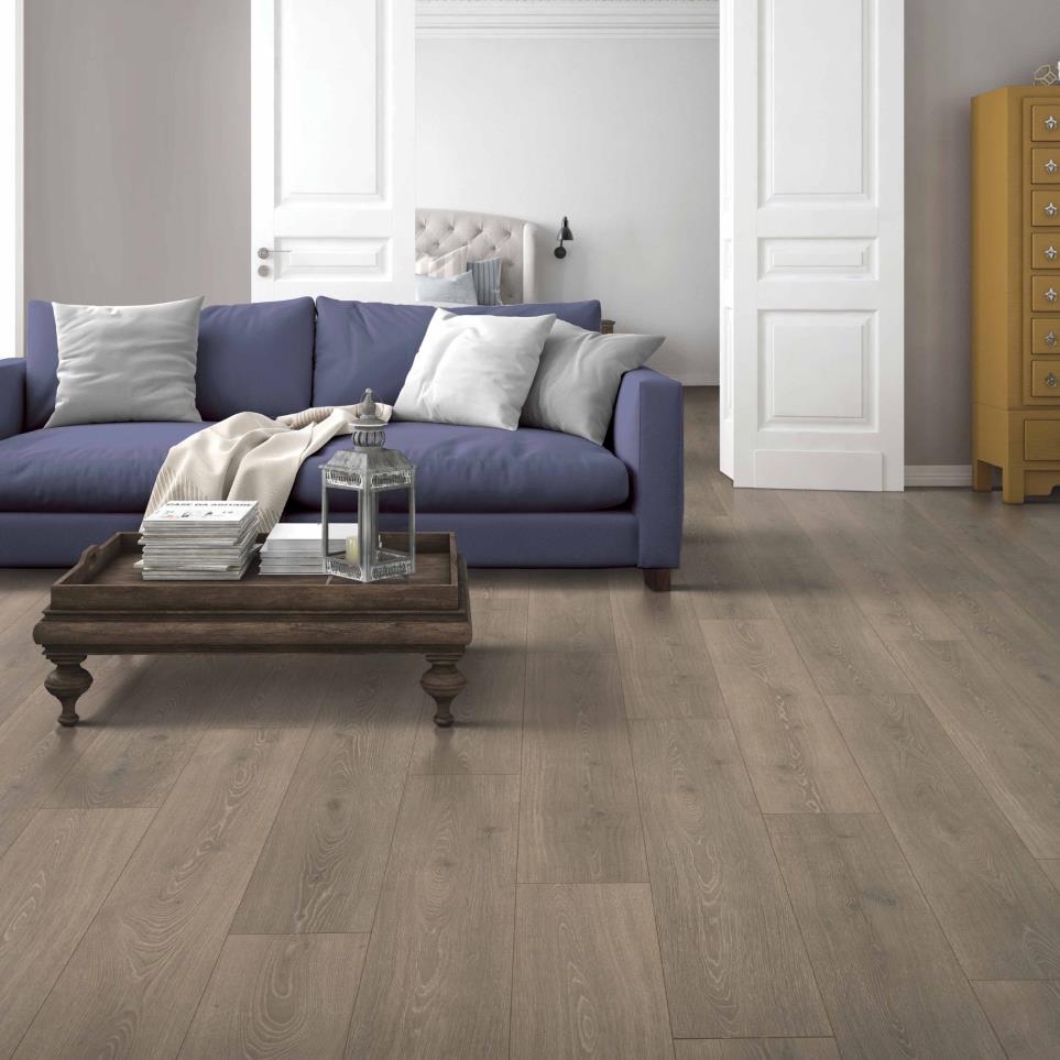 Plank Beachwood Medium Finish Laminate