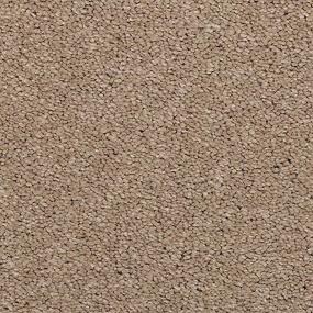 Textured Saxony Taupe Beige/Tan Carpet