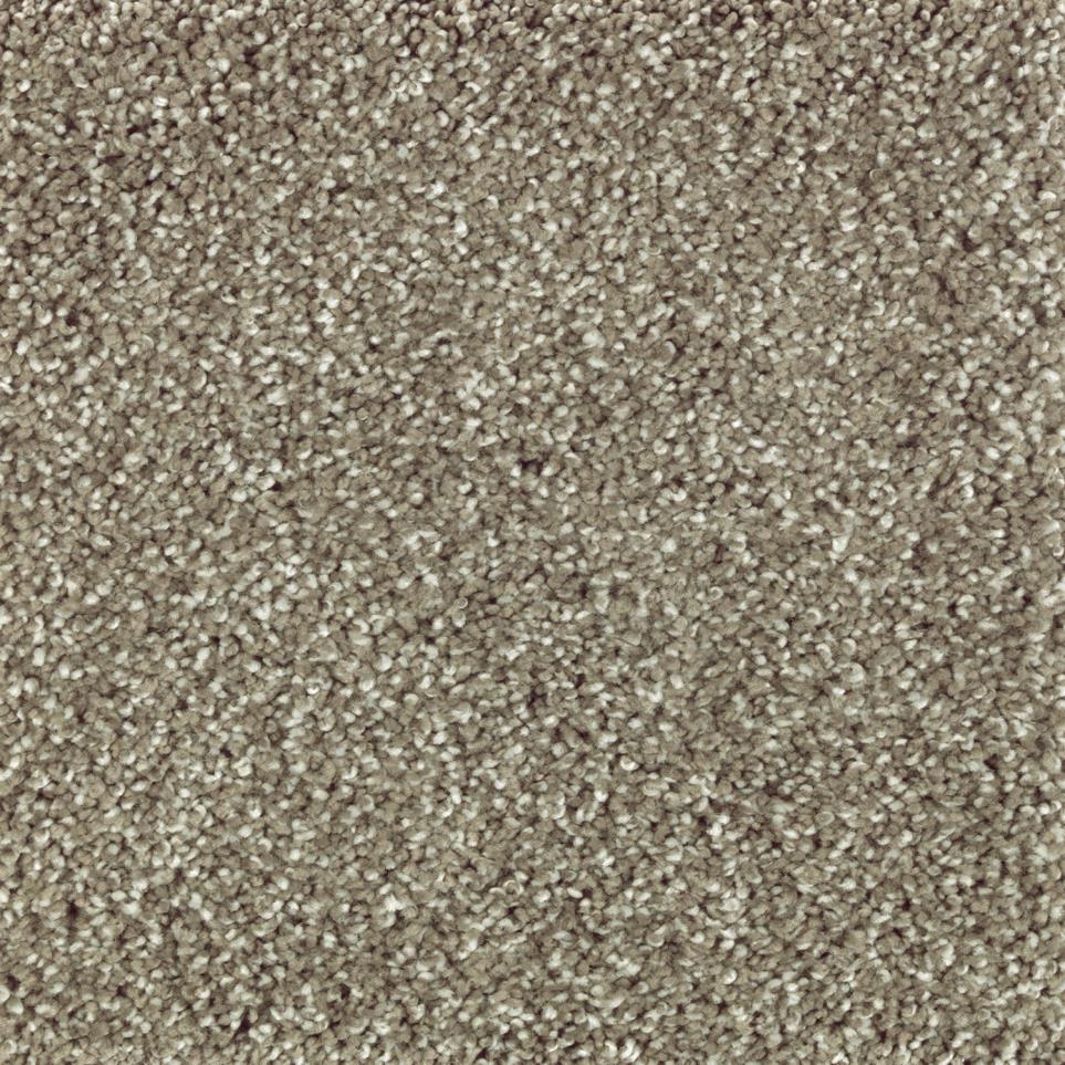 Texture Chateau Grey Beige/Tan Carpet