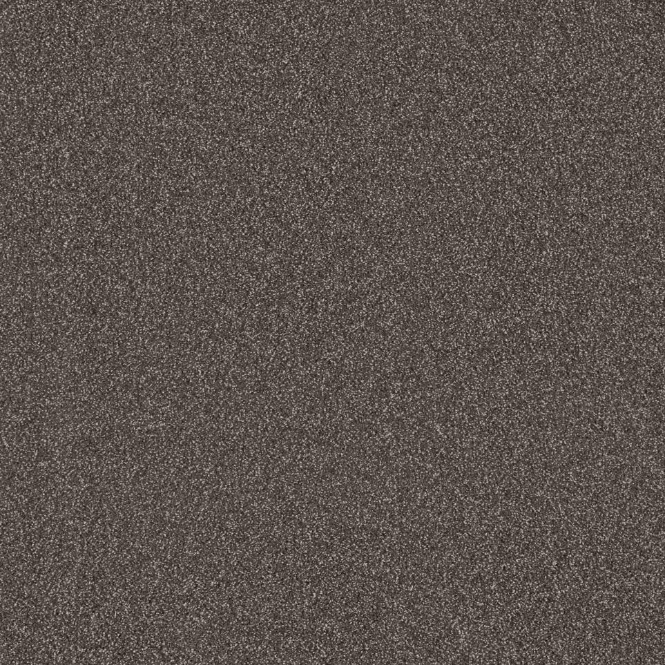 Texture Blacksmith  Carpet