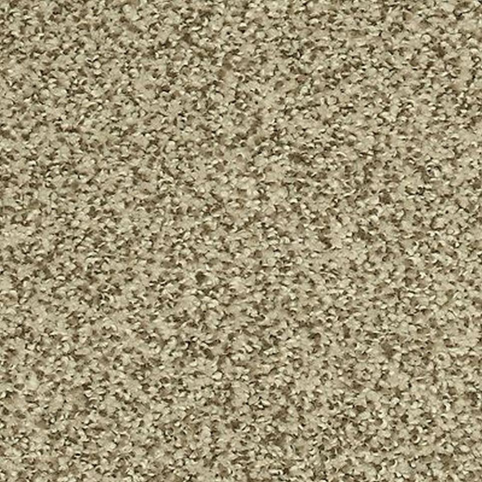 Textured Saxony Cashmere Sweater Beige/Tan Carpet