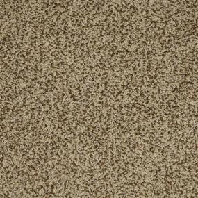 Textured Saxony Splendid Brown Carpet