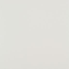Tile White Matte White Tile