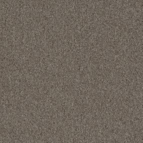 Loop Lynchburg Beige/Tan Carpet