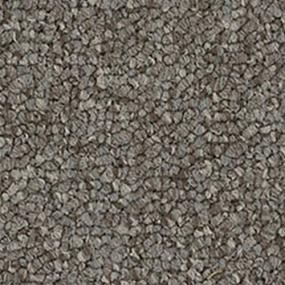 Loop Lynchburg Beige/Tan Carpet