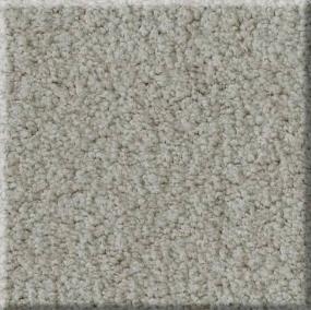 Plush HILLSIDE Gray Carpet