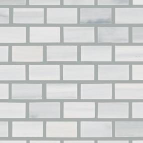 Mosaic Grey Palissandro Polished Gray Tile