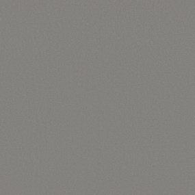 Texture Boulder Gray Carpet