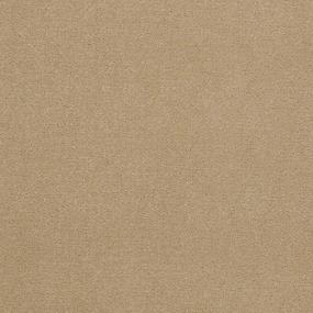 Cut Pile Face Powder Beige/Tan Carpet