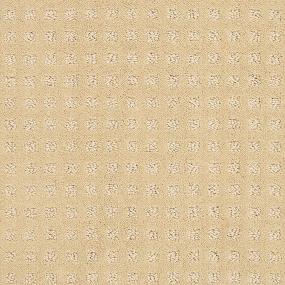 Pattern Warm Light Beige/Tan Carpet