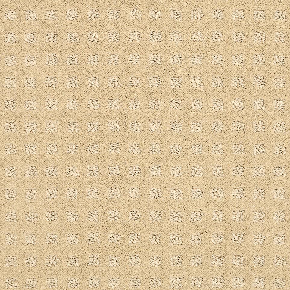 Pattern Warm Light Beige/Tan Carpet