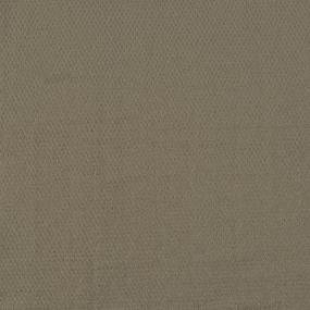 Pattern Forever Beige/Tan Carpet