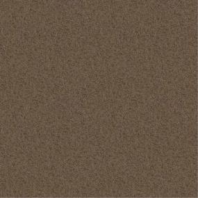 Textured Saxony Pierwalk Beige/Tan Carpet