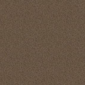 Textured Saxony Pierwalk Beige/Tan Carpet