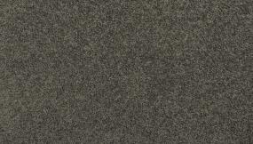 Texture Pavement Gray Carpet