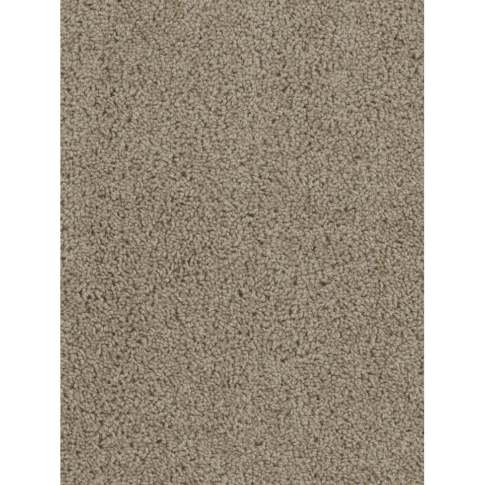 Textured Saxony Crestview Beige/Tan Carpet