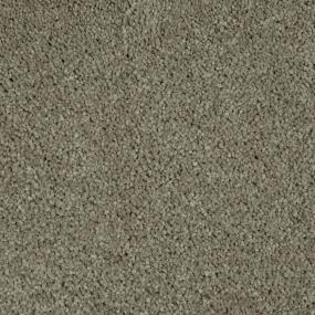 Textured Saxony Surreal Beige/Tan Carpet