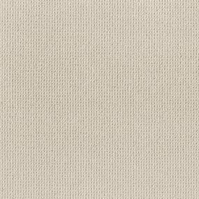 Berber Oak Creek Beige/Tan Carpet