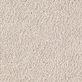 Textured Saxony Chrome Beige/Tan Carpet