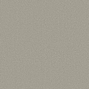 Texture Tumbleweed Brown Carpet