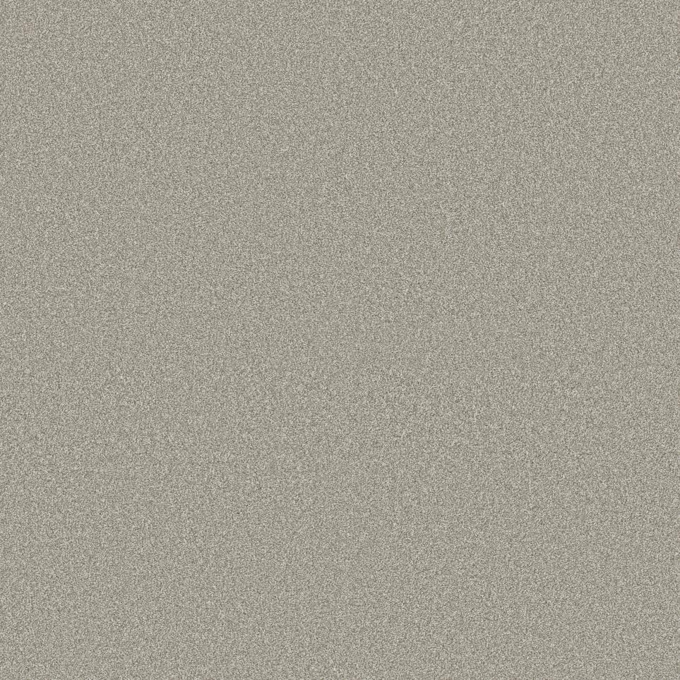 Texture Tumbleweed Brown Carpet