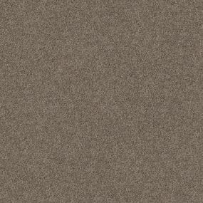Textured Saxony Oregon Trail Brown Carpet