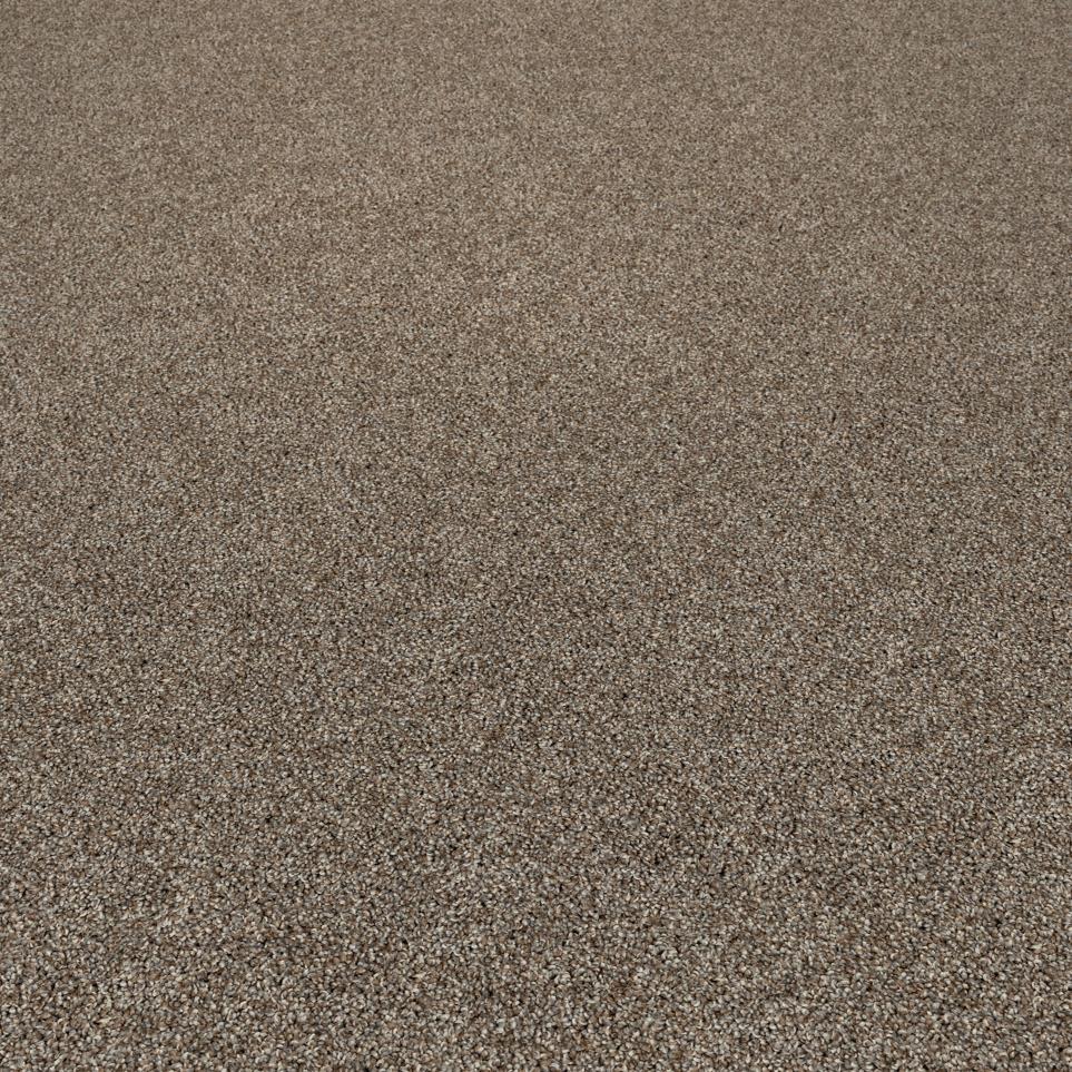 Textured Saxony Oregon Trail Brown Carpet