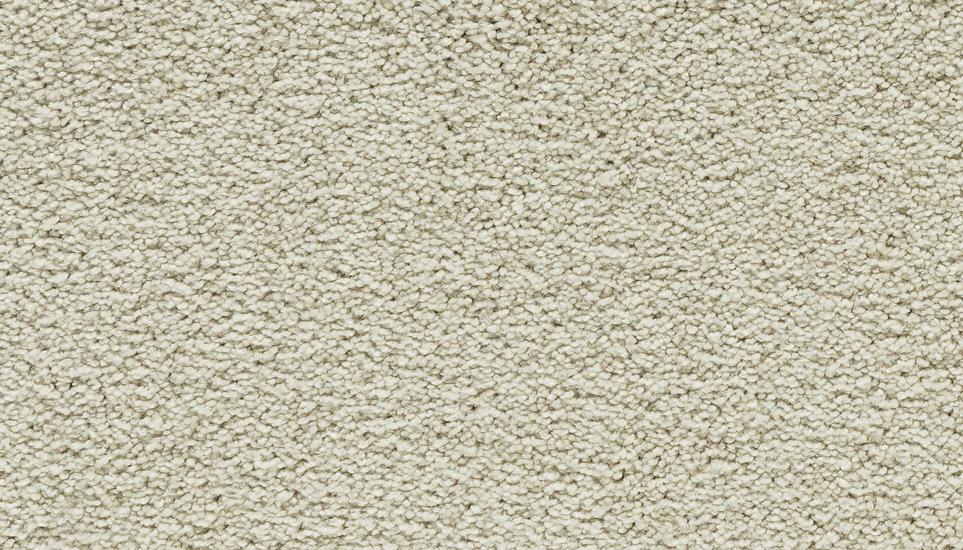 Textured Saxony Opalescence Beige/Tan Carpet